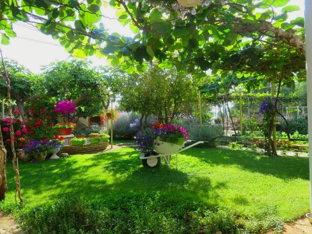 Beach Apartment Roza Biograd Oneroom - Premium Location Biograd Na Moru Esterno foto