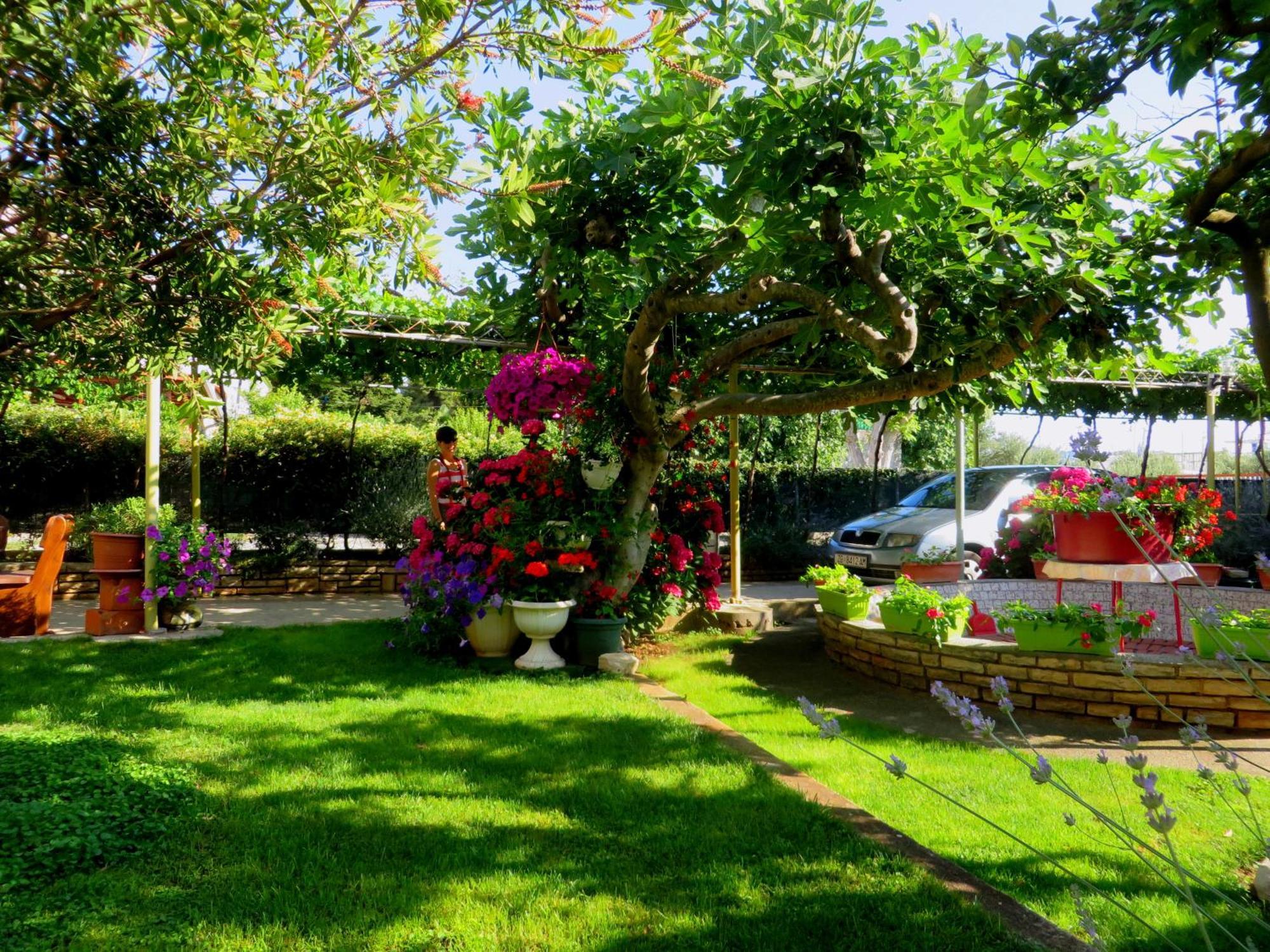 Beach Apartment Roza Biograd Oneroom - Premium Location Biograd Na Moru Esterno foto